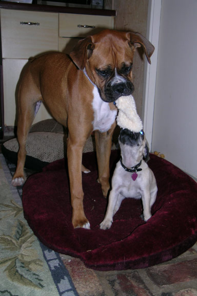 Tug of War