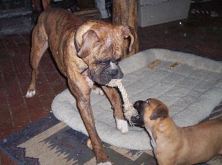 Tug of War