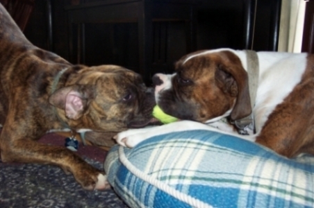Tug of War