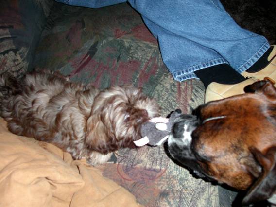 tug - of - war