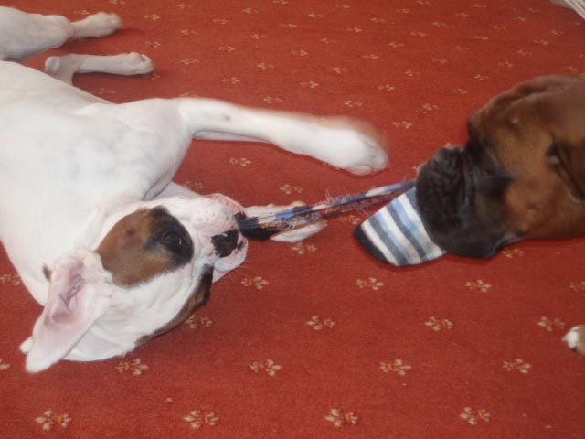 Tug of war