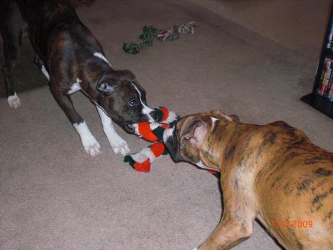 Tug of war2