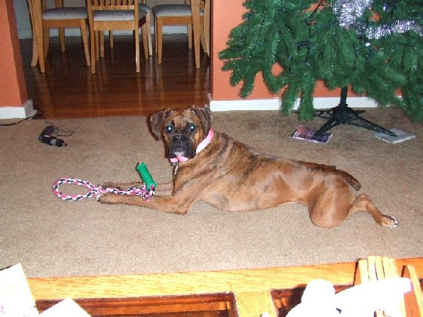 Tug Toy