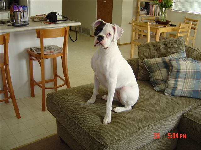 Tunney sitting pretty