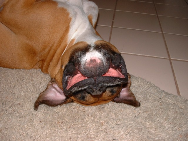 Turn that frown upside down!