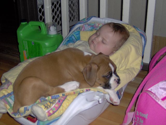 Two Babies