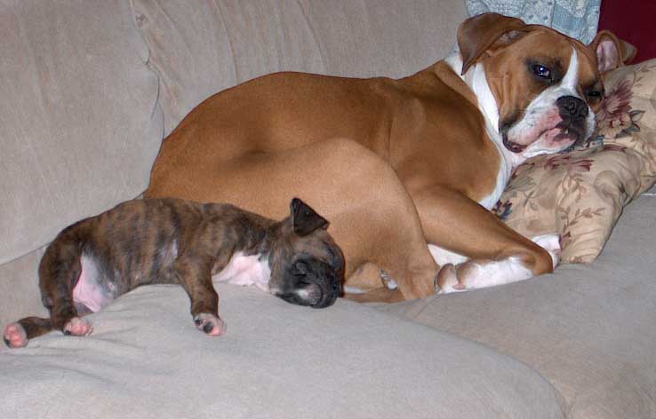 Two by Two; when you sleep I'll watch over you