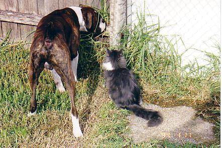 Two curious guys