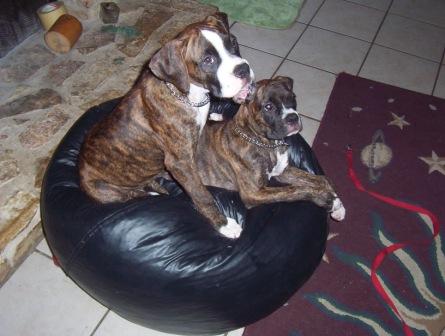 Two cute!