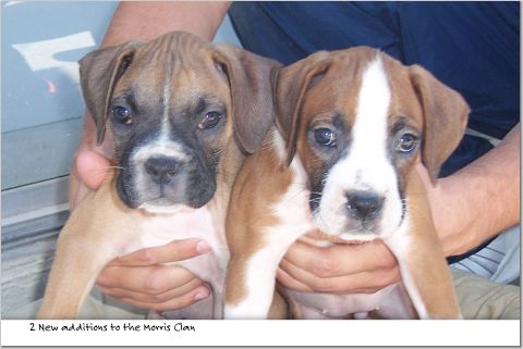 Two peas...