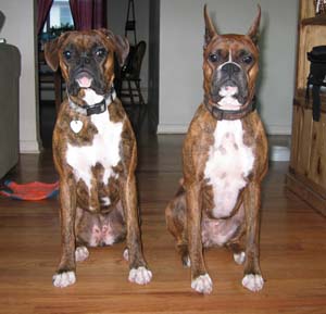 Two pretty girls