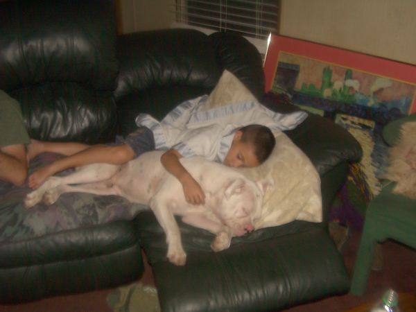 Two sleeping Boys