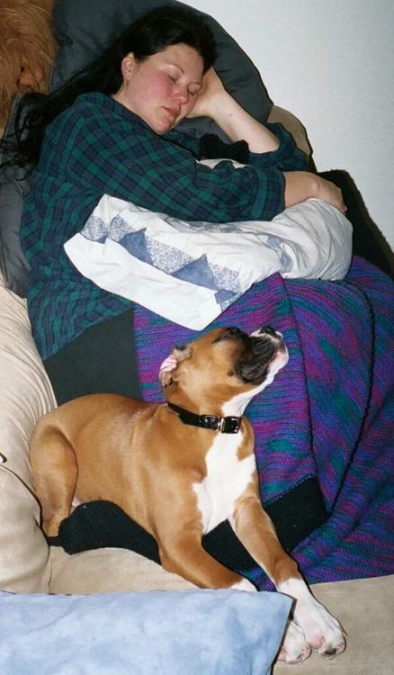 Two tired puppies