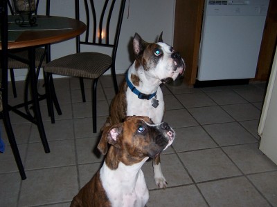 two trouble makers