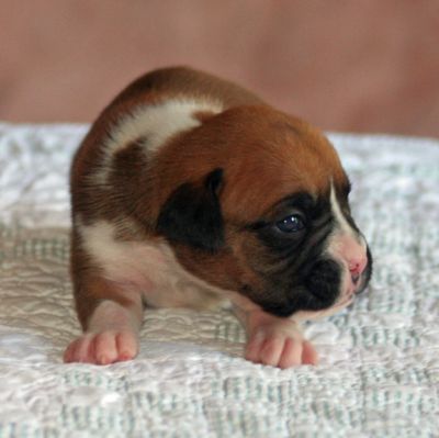 Two Weeks Old