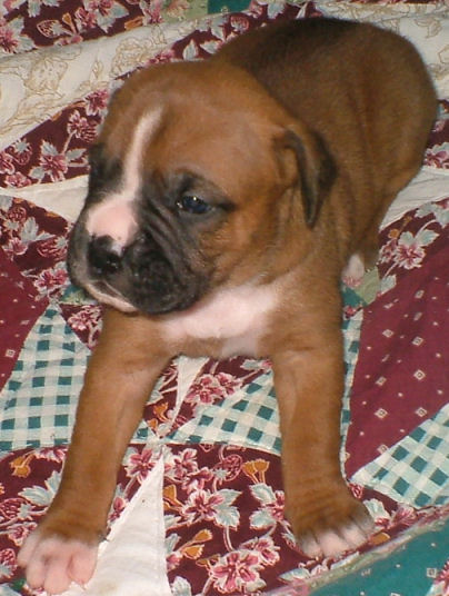 Two weeks old.