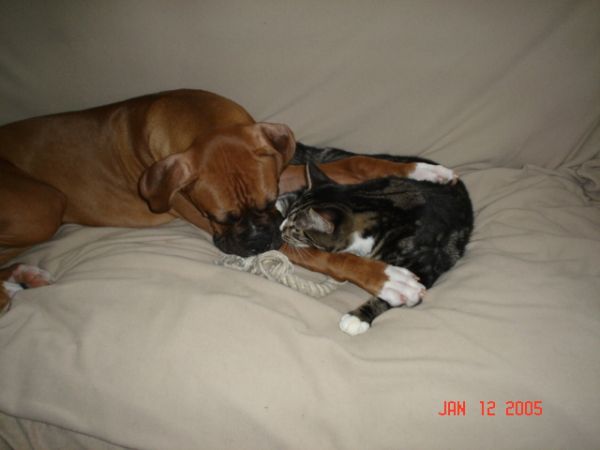 Ty and Meeko