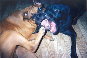 Tye & Roxy