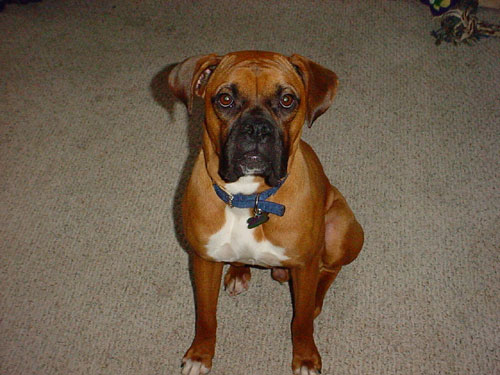 Tye sitting pretty