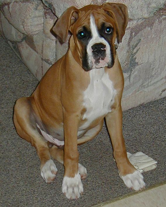 Tyler 15 weeks