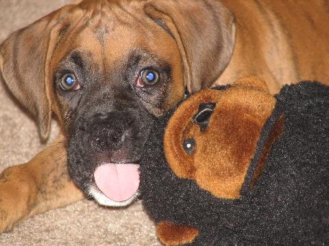 Tyler and his favorite toy