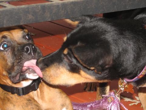tyler and his girlfriend making out