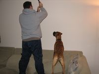 Tyler supervising