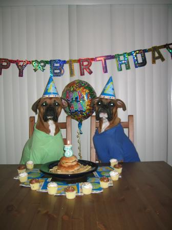 Tyler's Birthday Party