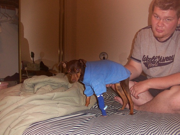 Tys in his sexy blue polo!