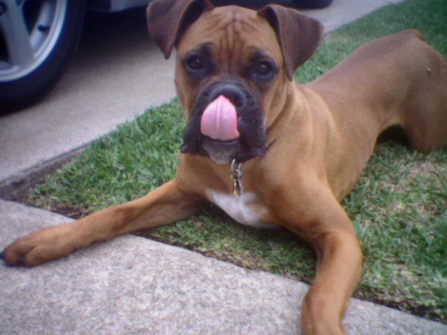 tyson 2