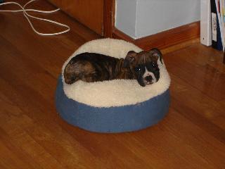 Tyson 9 weeks