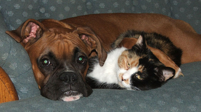 Tyson and Cali