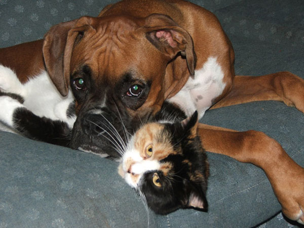Tyson and Cali
