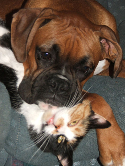 Tyson and Cali
