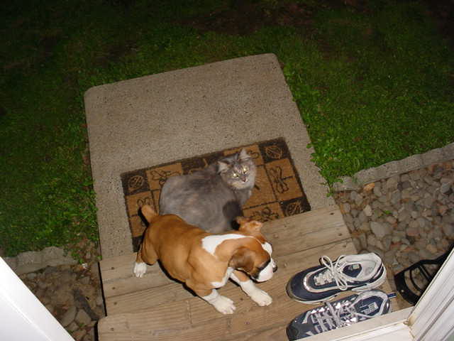 Tyson and Cleo