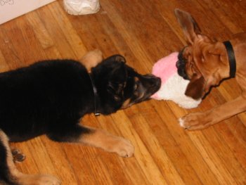 Tyson and Maddie
