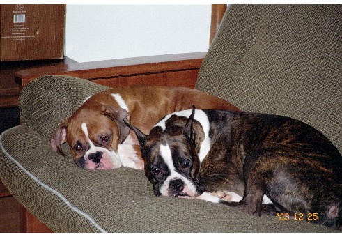 Tyson and Nick