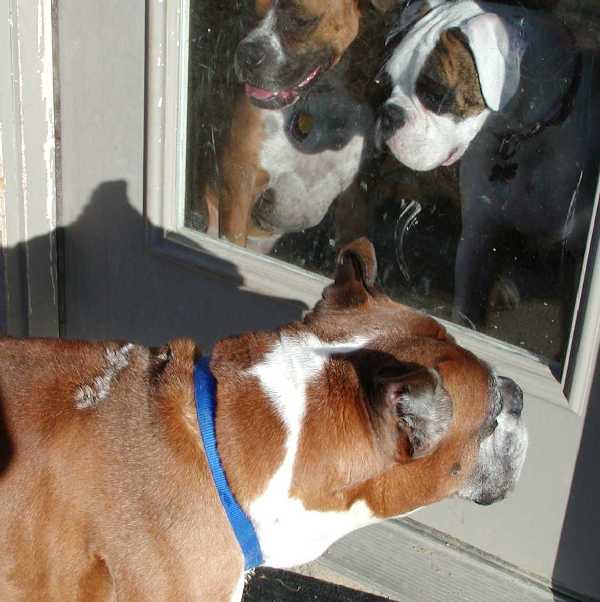 Tyson and our girls