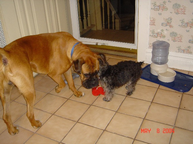 Tyson and PeeWee