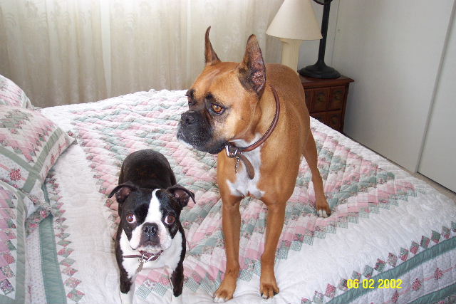 Tyson and Sadie