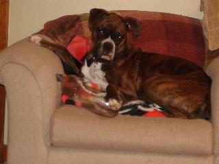 Tyson at 14 months