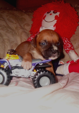 Tyson at 3 weeks