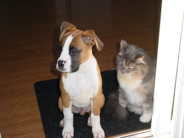 Tyson & Cleo