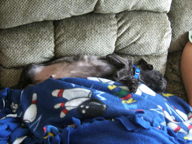 Tyson Couch