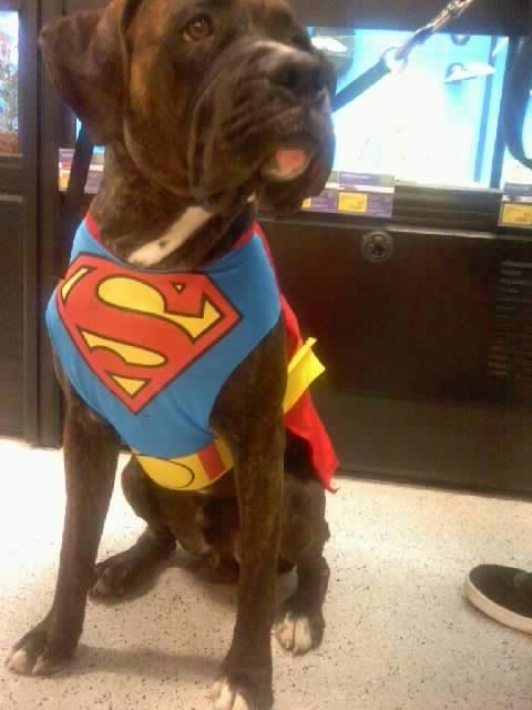 Tyson Getting Ready for Halloween Early