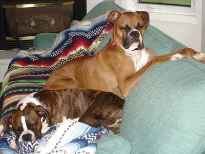 Tyson & Grace