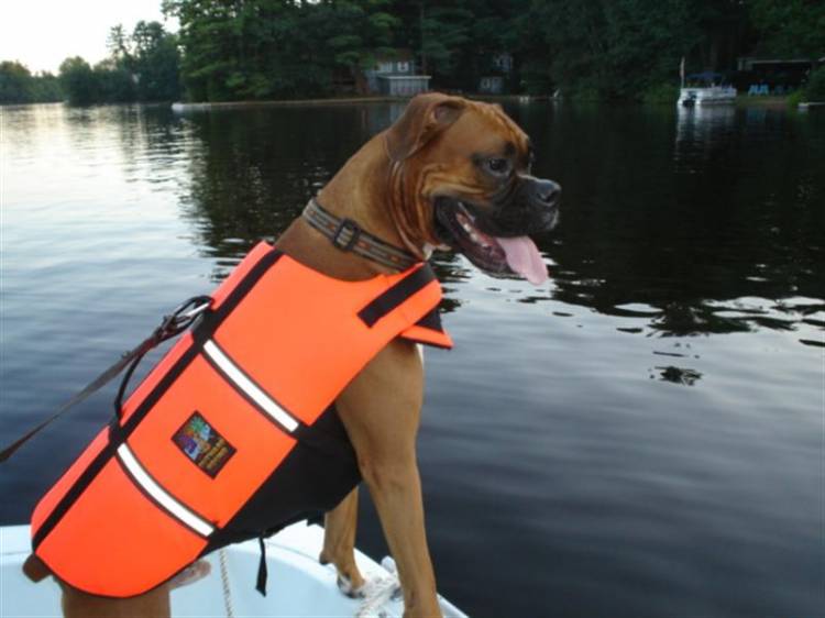 Tyson on Boat!