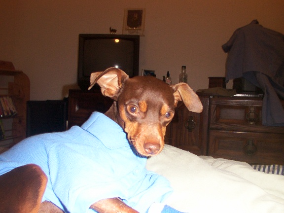 Tyson on his third day home