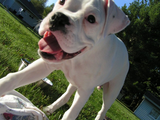 Tyson outside