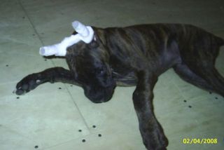 Tyson Playing